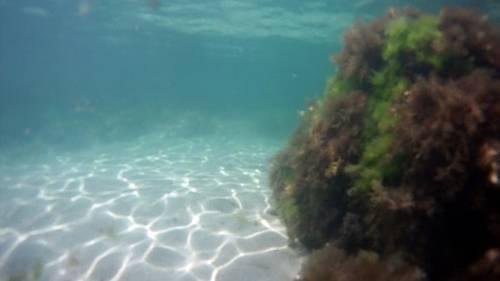 Гостиница Guest house Prime house Севастополь-35